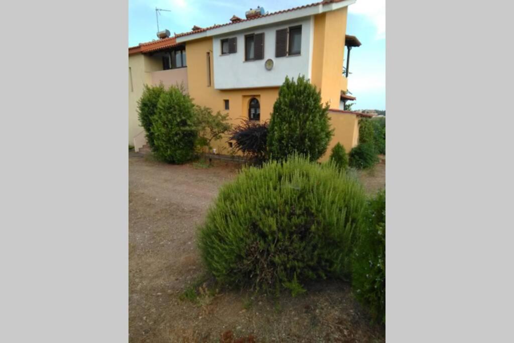 "Klio" Appartment Nikiti  Buitenkant foto